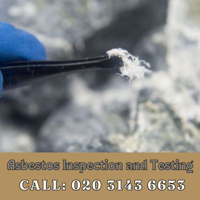 Comprehensive Asbestos Inspection and Testing Services in Hounslow Heath